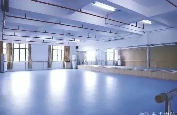 绳梯训练篮球_2